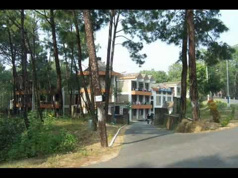 Hamirpur-movers-packers3