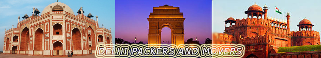 delhi packers and movers