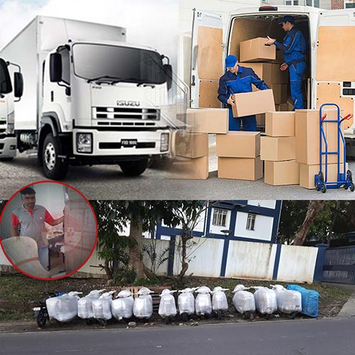 packers and movers in Panchkula 