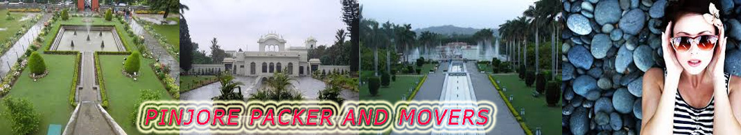 packers and movers in pinjore